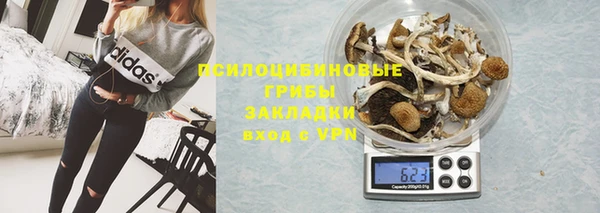 молекула духа Богородск