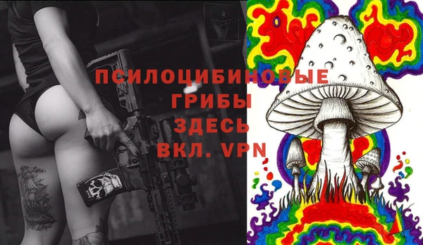 метамфетамин Богданович