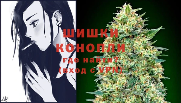 молекула духа Богородск